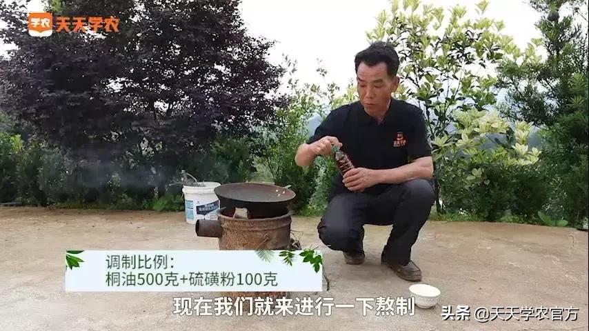 脚腐、流胶、霉桩就用这种药，治愈率高达95%！熬制只需10分钟