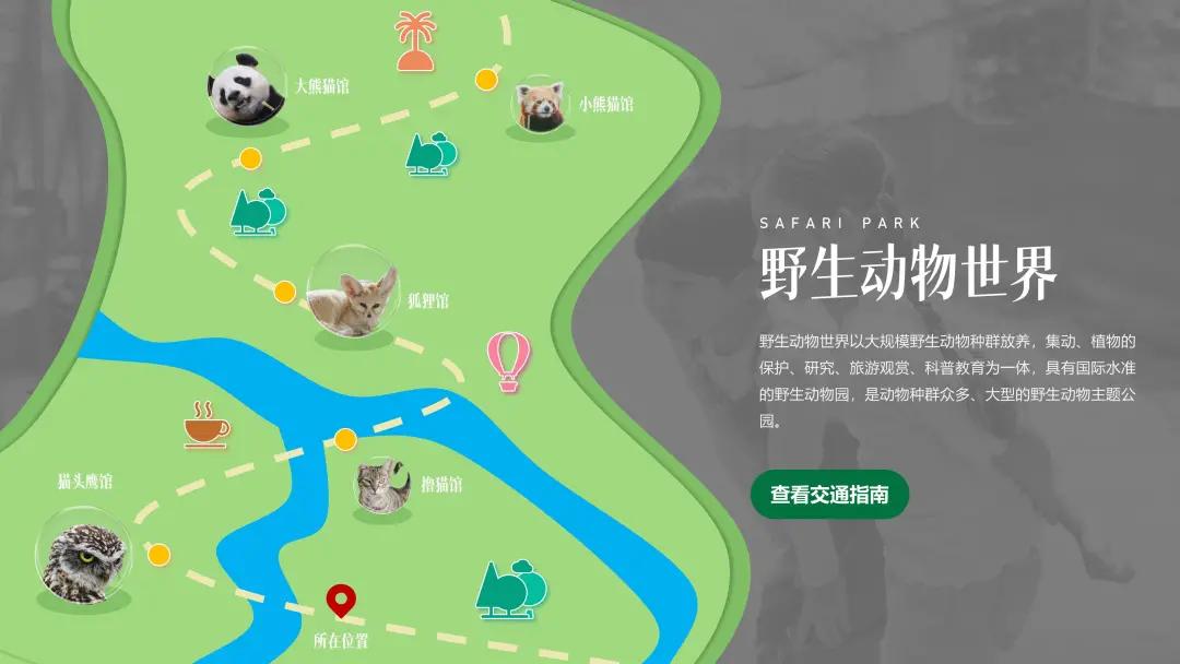 ppt排版设计技巧ppt制作培训教程,ppt多图经典案例排版