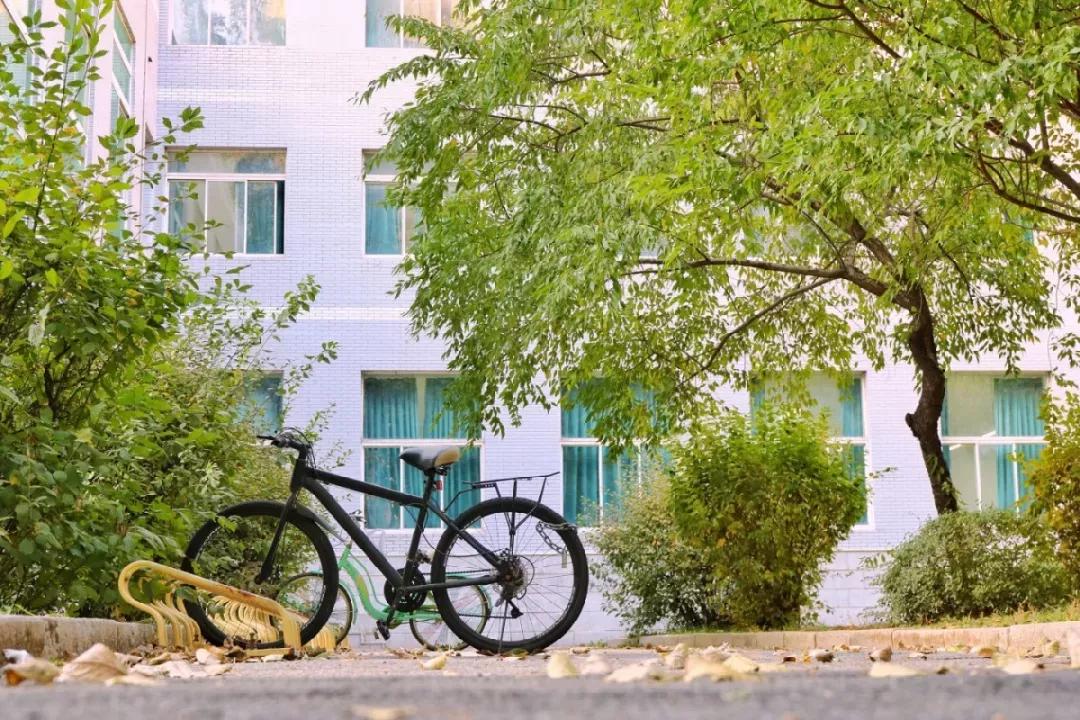 辽宁省内大学排名沈阳医学院,辽宁省沈阳医学院前景