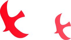 养老机构财务制度大全,公办养老机构财务管理现状