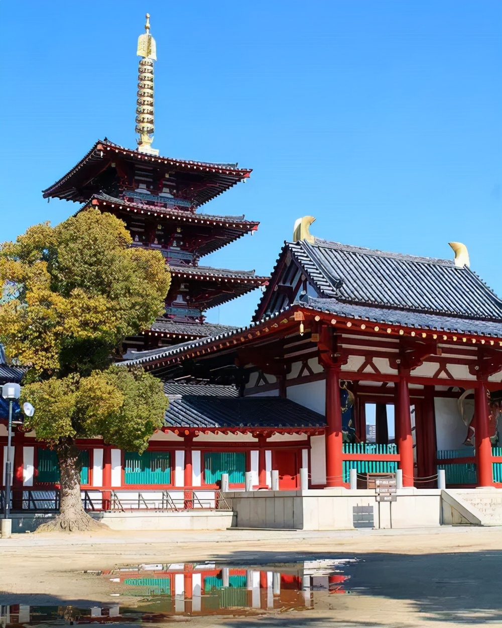 日本存活最久的企业,日本长盛不衰的产业