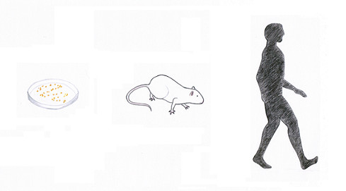 照妖镜1.8,照妖镜2.1