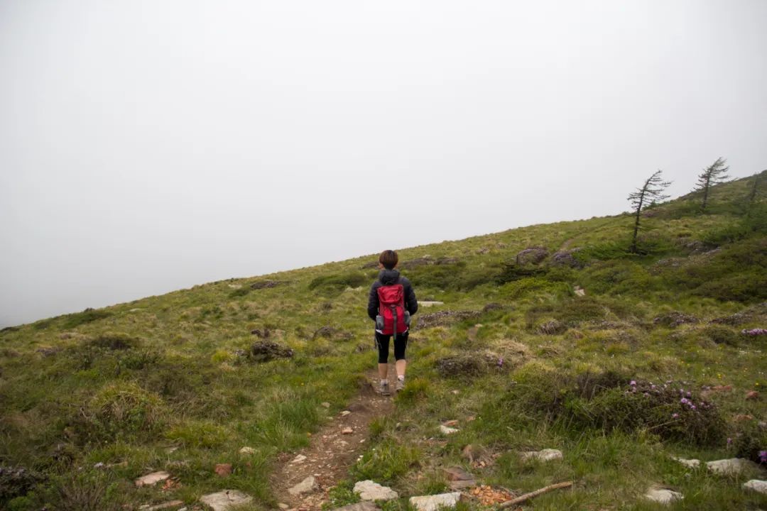 秦岭光头山至鹿角梁穿越路线,秦岭西观音山徒步登山路线攻略