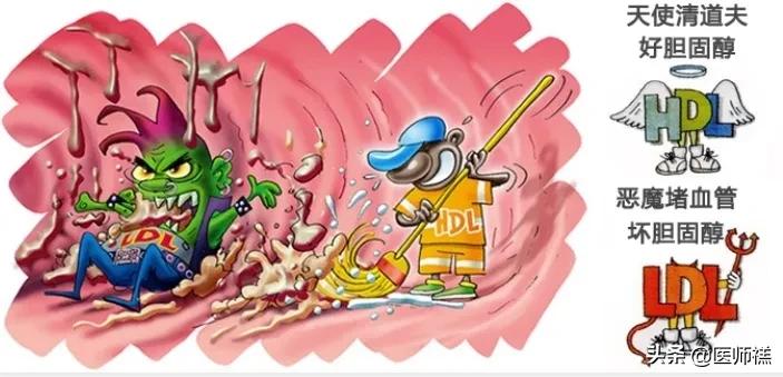 如何降低高脂血症,想降低体脂早上吃什么药