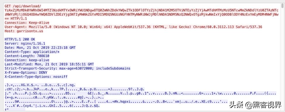 暗网市场再上新货，*载下**型木马病毒“Buer（帕尔）”备受关注