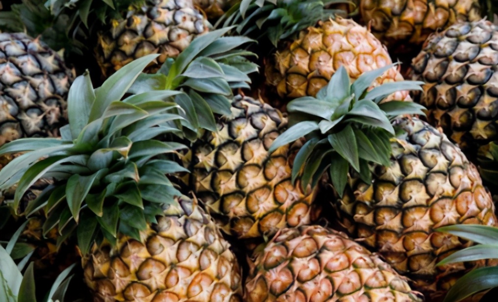 吃菠萝总“麻嘴”？别再泡盐水了，只需一步，不麻嘴，脆爽又甘甜