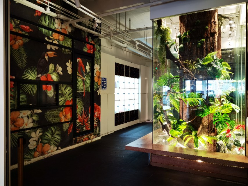 广州沙面是租界吗,广州沙面街最新照片