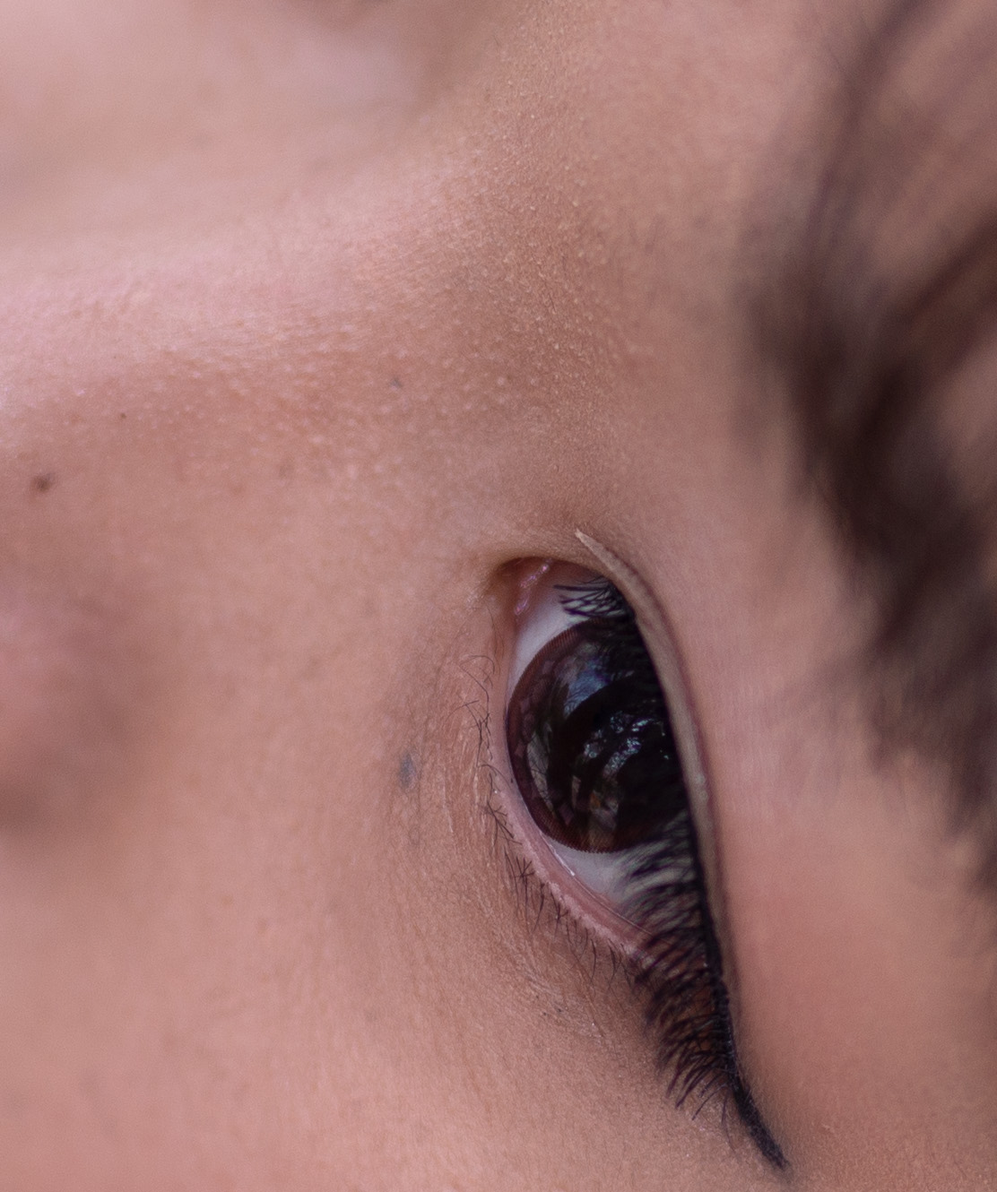 第14篇，尼康相机的标头-2021年元旦快乐