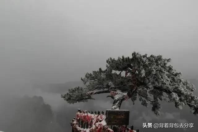 西上西下华山怎么避开长空栈道,西岳华山景区华山西峰