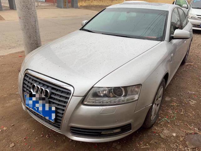 养殖场的猪全部死完了,养殖场猪瘟死亡人数