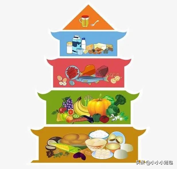 孕期食谱以及每月需要的营养,孕期我的三餐