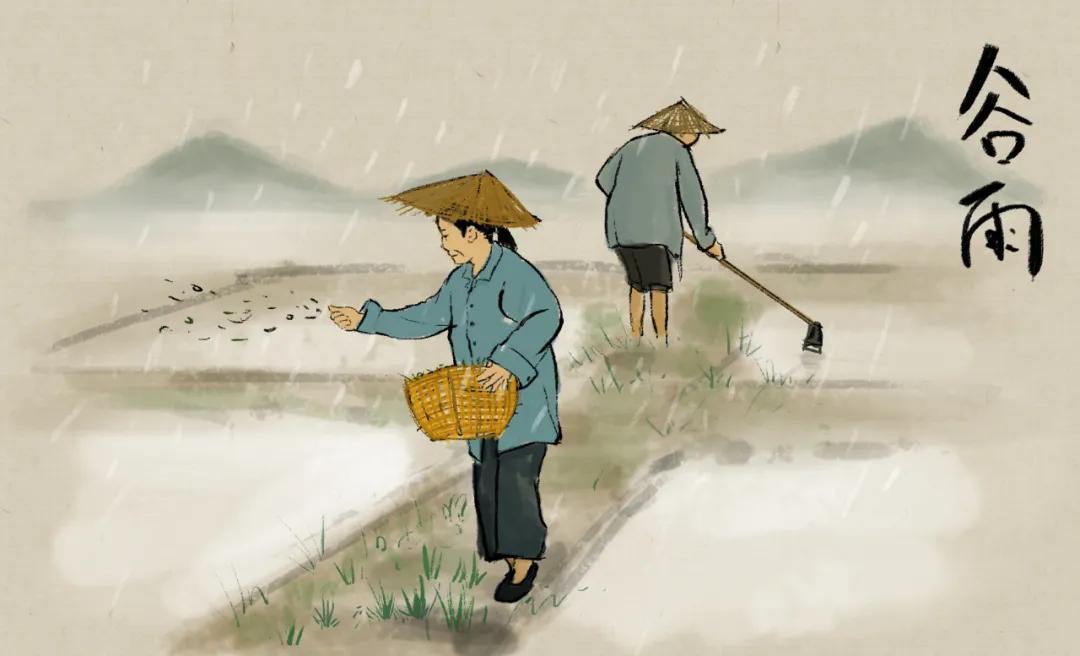 谷雨养肝祛湿正当时,春季养肝也要养胃饮食宜健脾养阳