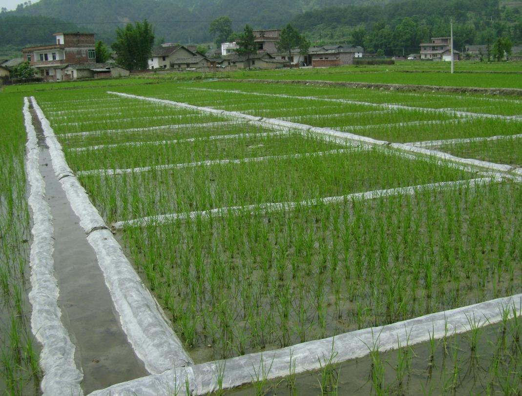 哈密土地荒废农民怎么活,农村土地荒废