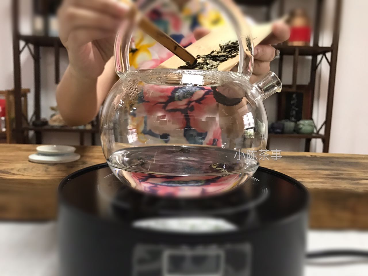 铁壶煮老白茶的正确方法,适合铁壶煮的茶有哪些