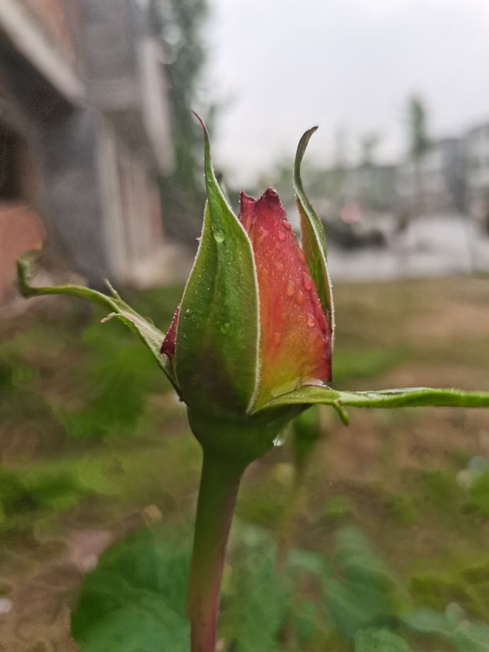 下雨天怎么办,下雨天怎么办歌曲
