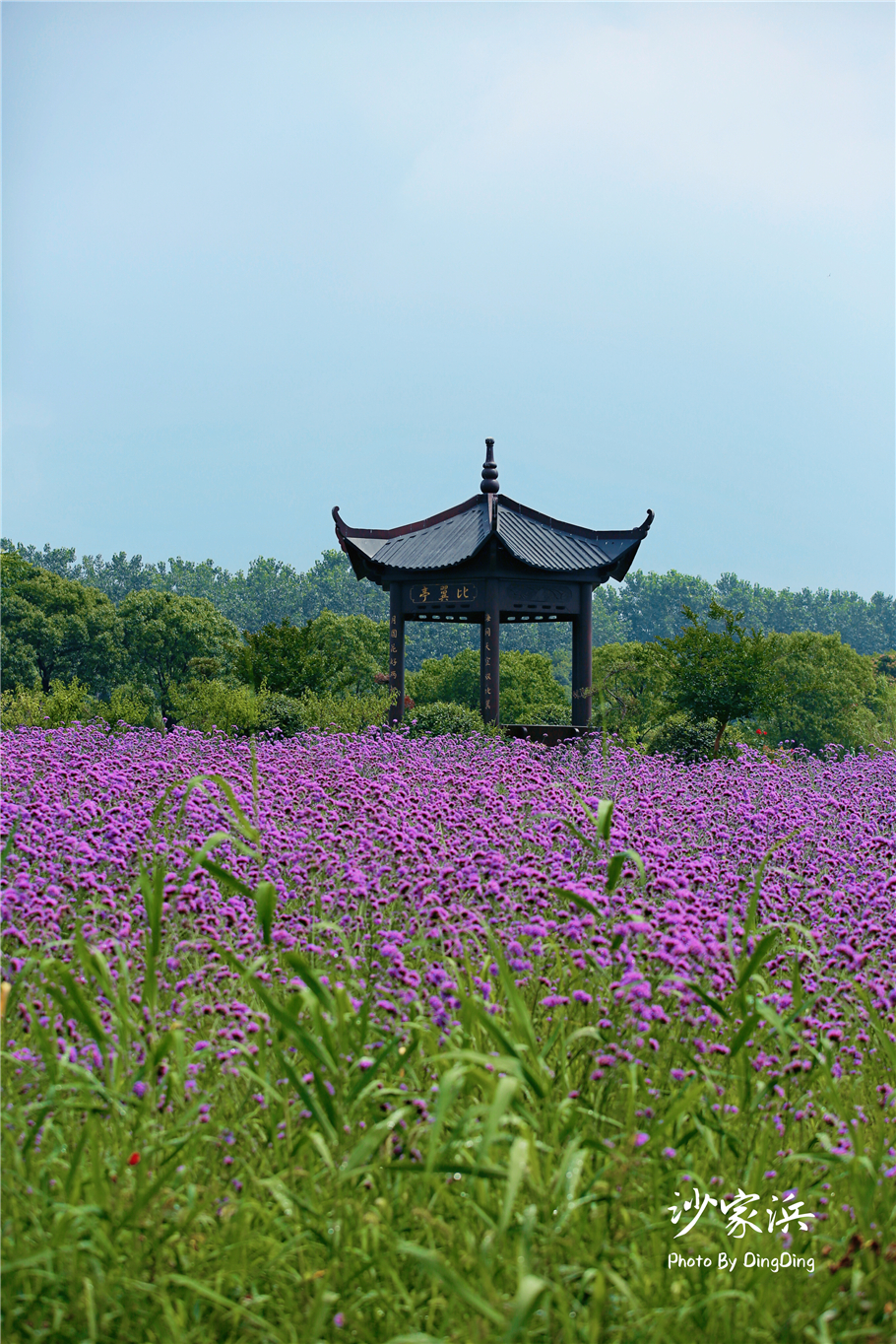 苏州红色革命旅游景点图片,苏州红色革命景点介绍视频
