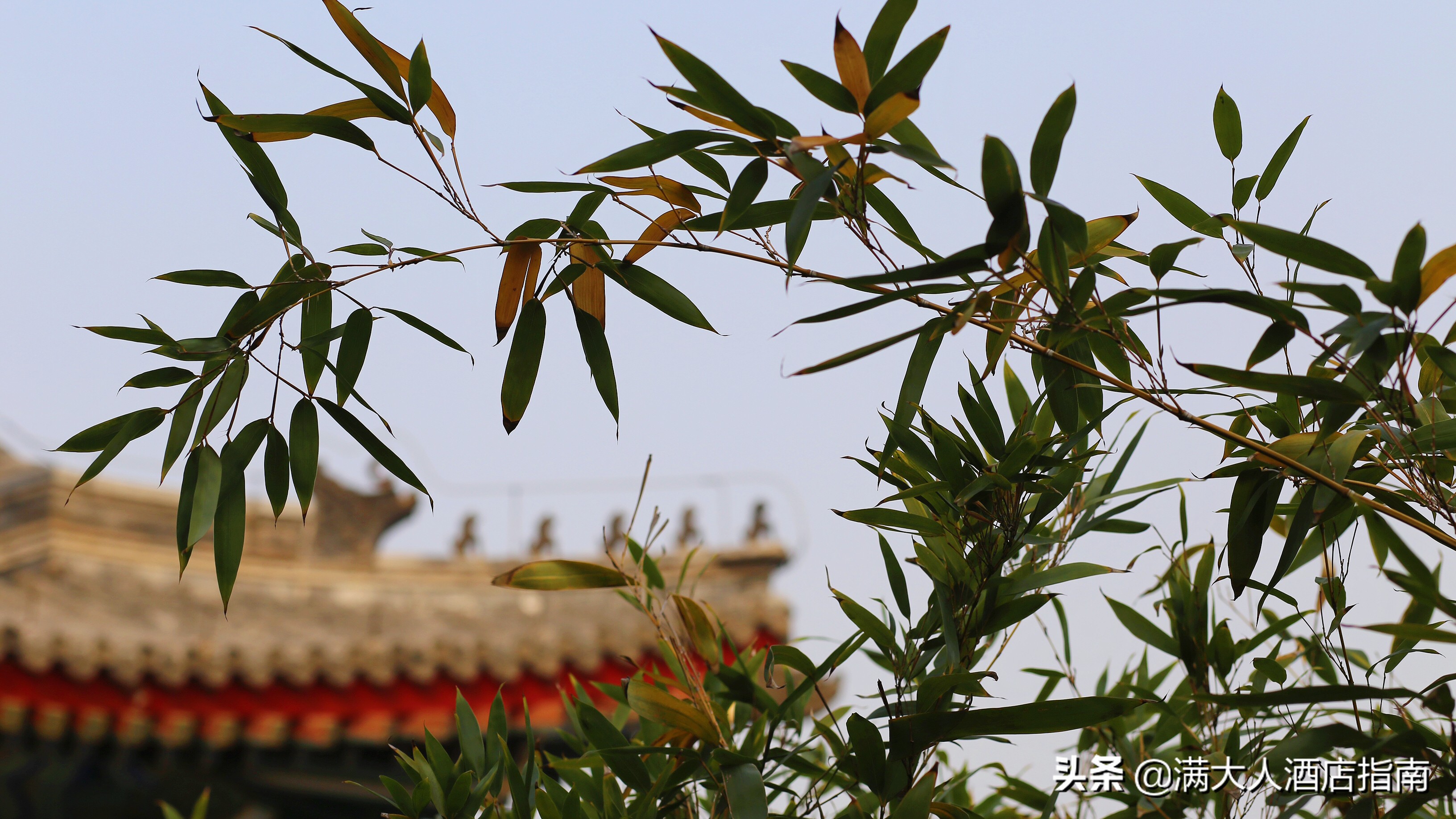 安缦颐和园,颐和安缦体验