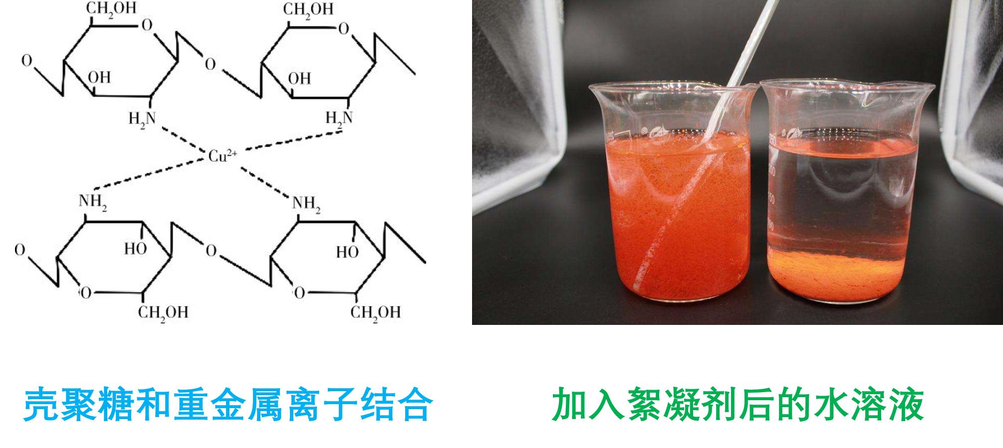 美食→生物材料|小龙虾→伤口敷料