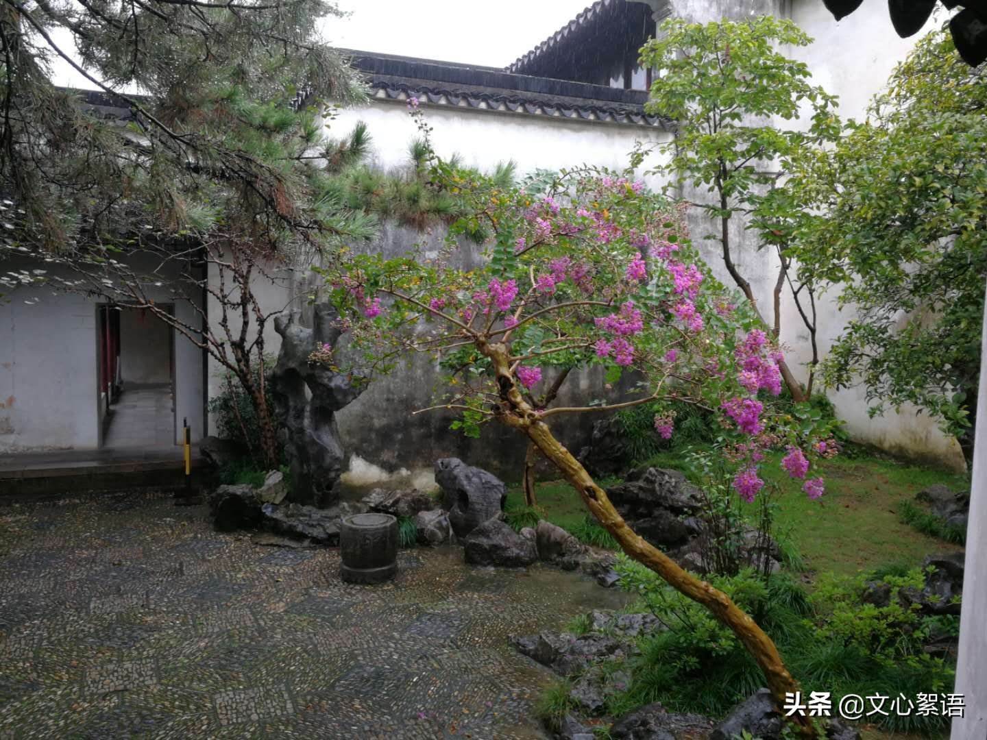 苏州园林一日游价格,苏州园林景点门票多少钱