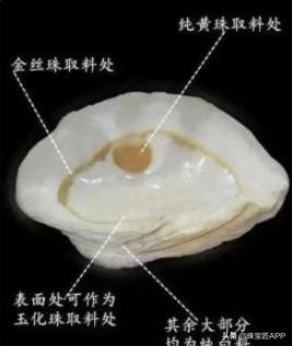 贝壳手工珠宝首饰,贝壳珠宝有哪些