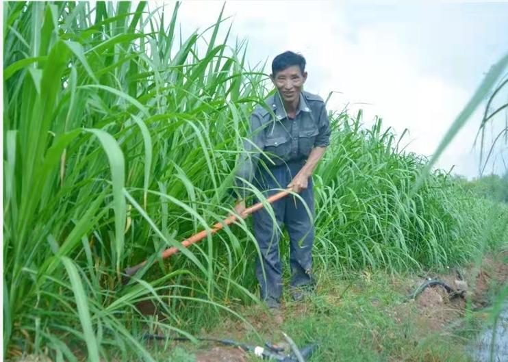 践行“昆明宣言”，三问嵩明如何做？