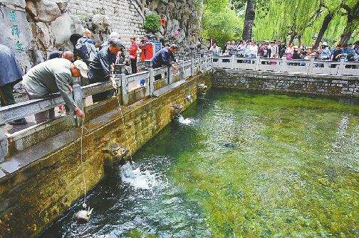 济南几大怪,济南十大怪事件