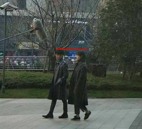 罗云熙身高对比,罗云熙和其他明星对比身高