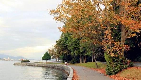 世界房价最低的城市,世界房价增长排名