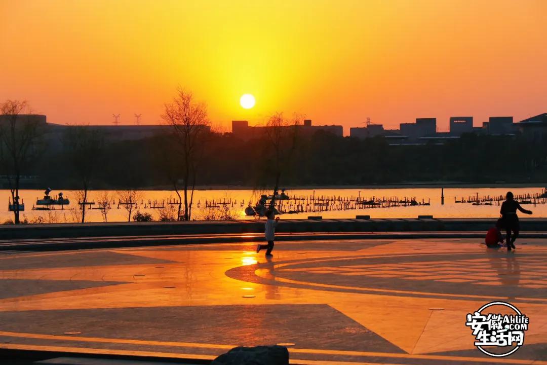 合肥最美的春天景点,合肥春天有哪些好玩的景点