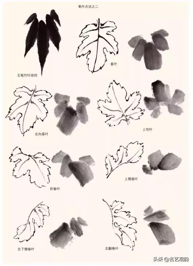 写意菊花小品国画大全,国画写意菊花和螃蟹