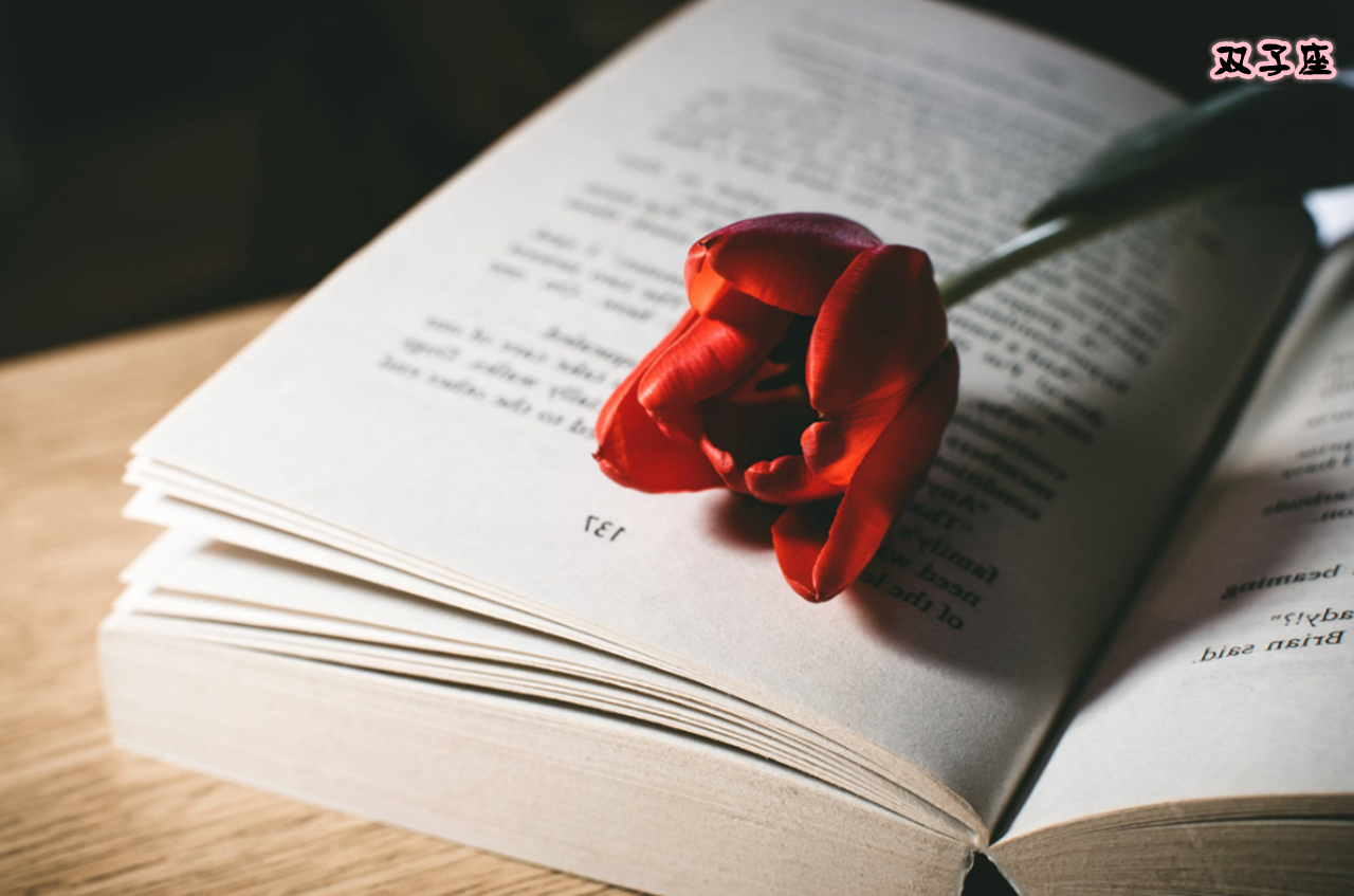 这三个星座最优秀但总是独来独往,高深莫测最具有神秘感的3个星座