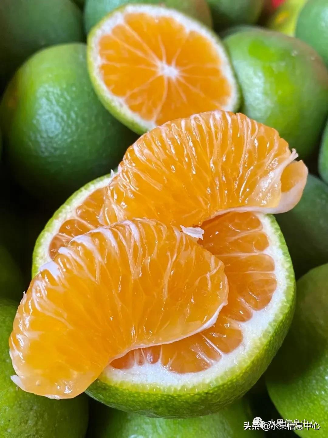 我国柑橘产区分布,柑橘产地行情