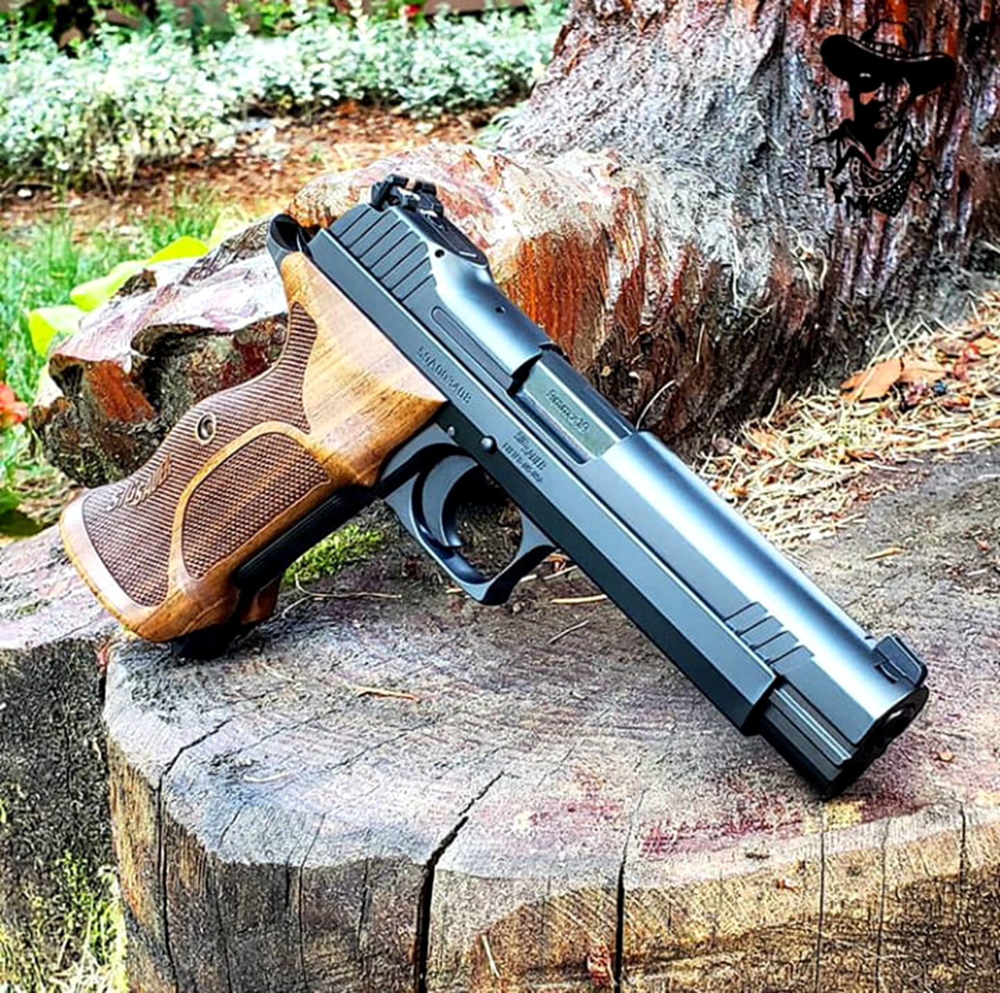 实用性最高的手枪,实用性最广的手枪