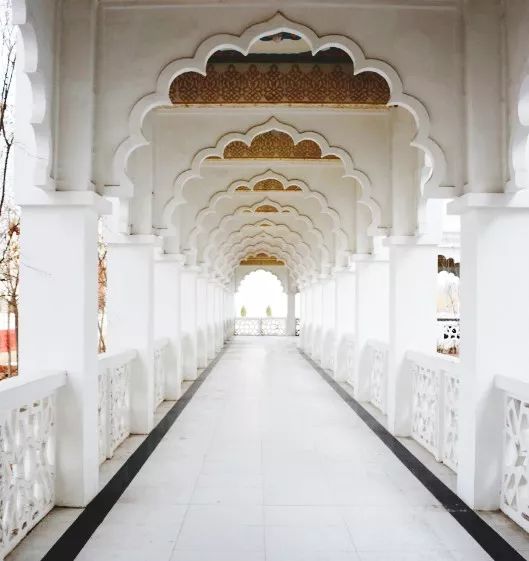 夏天的宁夏风景,夏天的宁夏银川