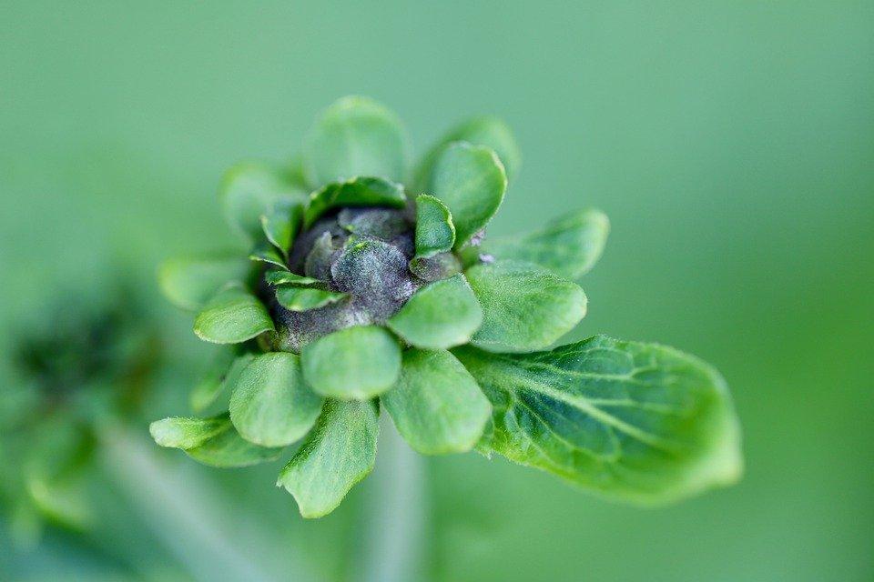 57岁退休阿姨,70岁阿姨哭诉晚年生活苦不堪言