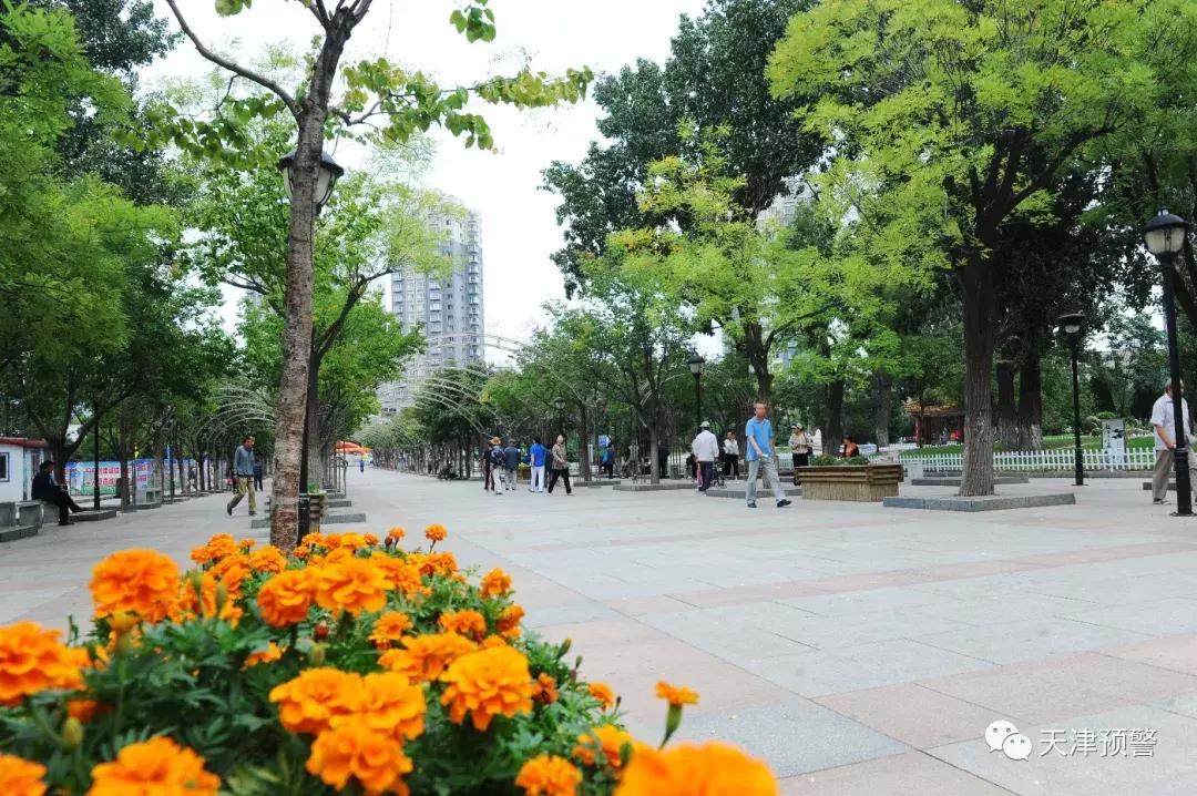 今日处暑！处暑养生看这里！