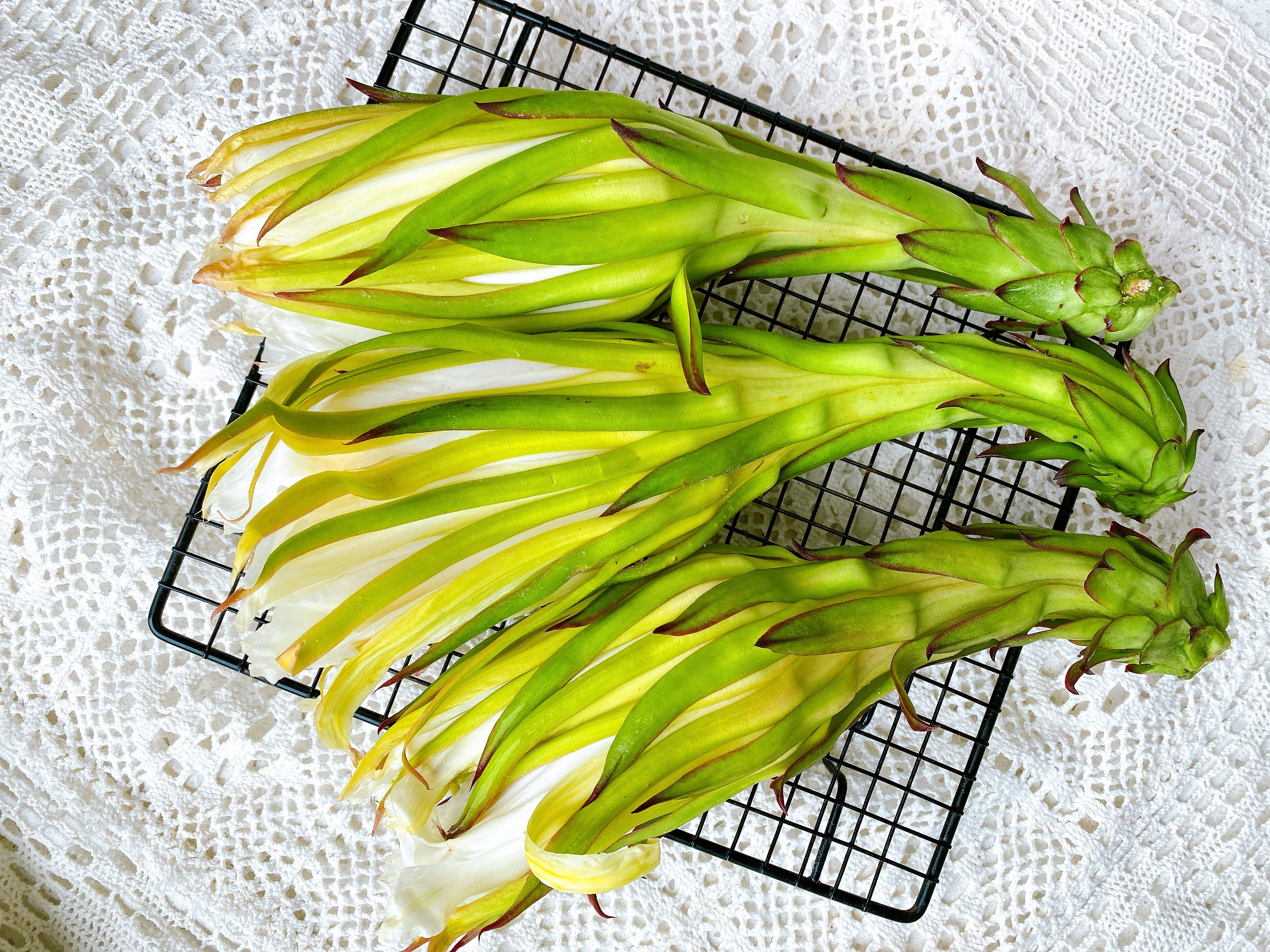 火龙果花还可以这样吃,火龙果的花正确吃法及做法