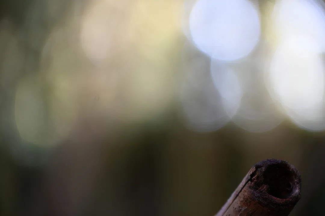 尼康z50配dx镜头,尼康zdx镜头