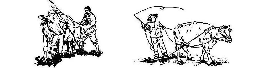 读辽宁历史感悟,盘锦旅游景点推荐二界沟