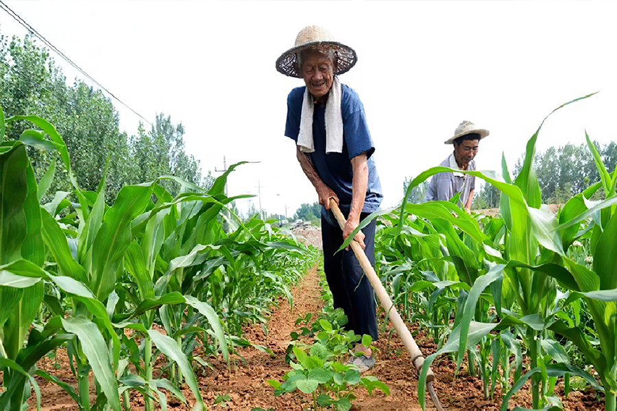 农村包地10亩每亩500元能赚钱吗,农村包地1000亩利润与开支