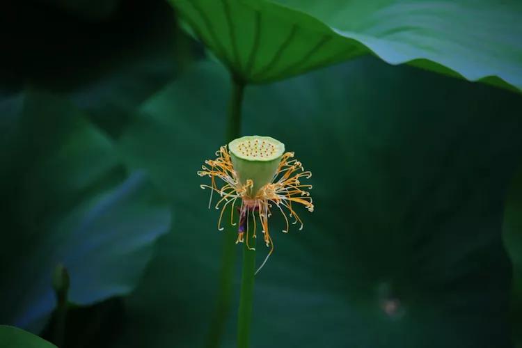 尼康入门单反,单反快速入门攻略