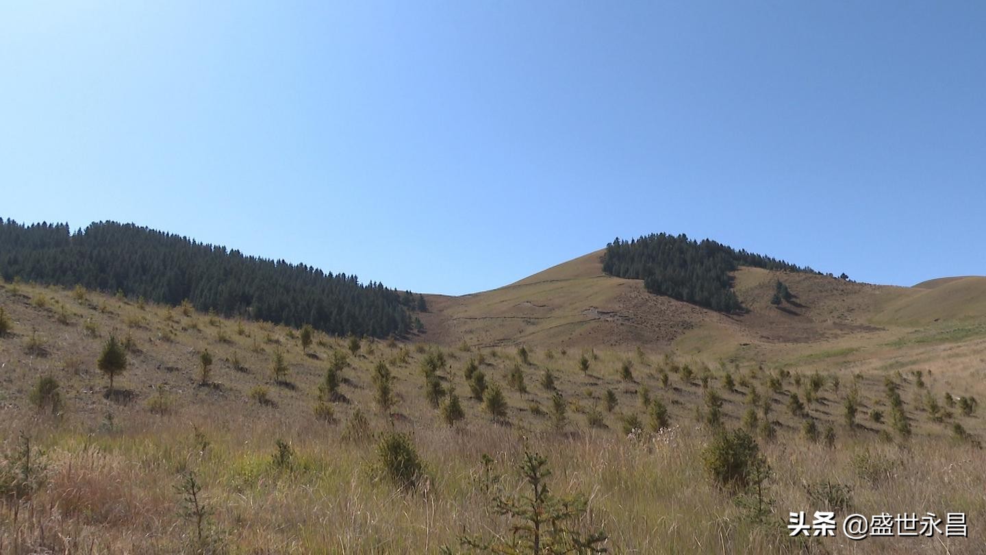 县生态环境保护工作报告,县生态环境保护重点