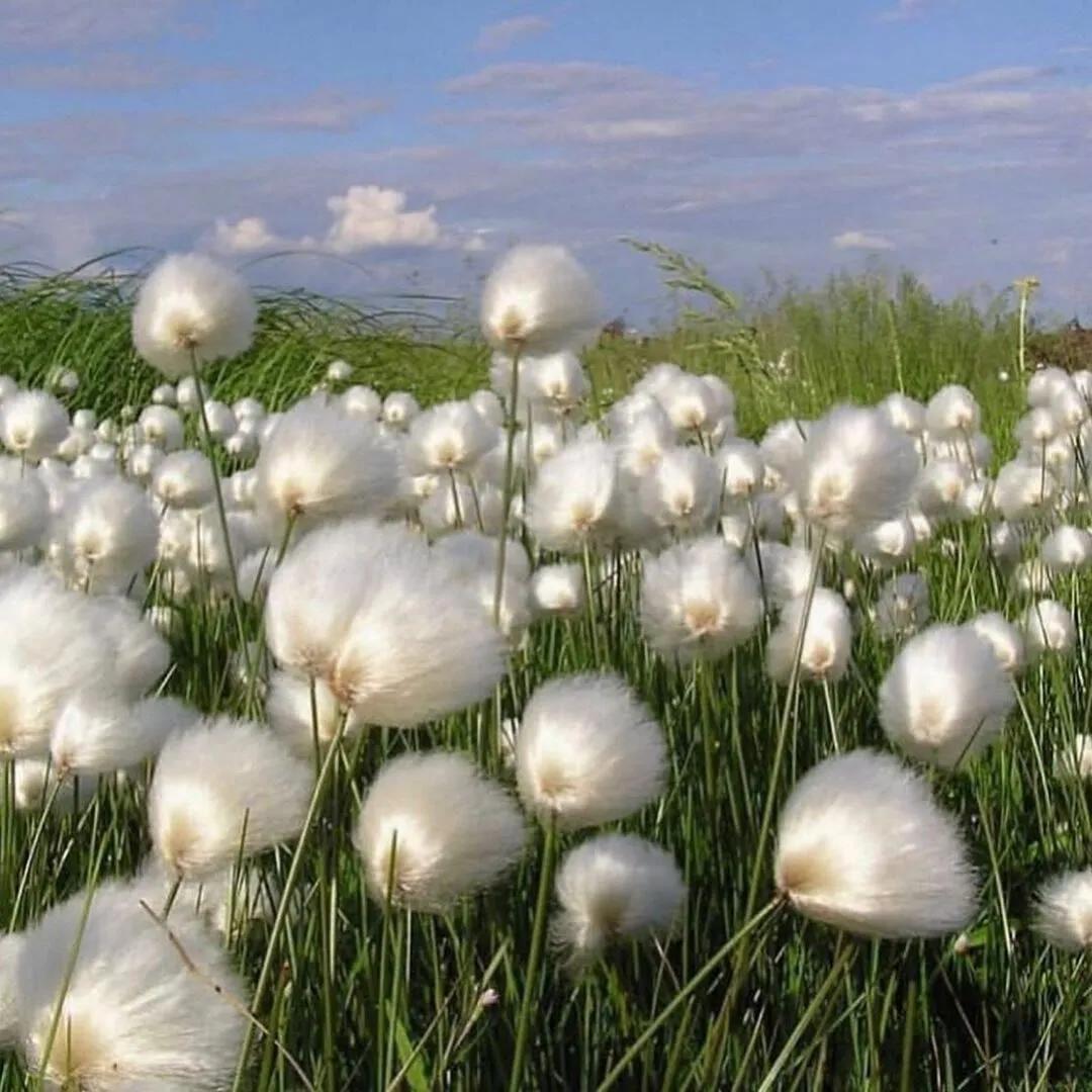 宇航员动态壁纸高清全屏120帧竖屏,太空壁纸高清4k宇航员火箭卡通