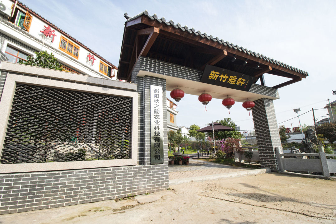 湖南山谷民宿推荐,竹林民宿推荐