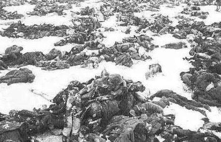 假如曼施坦因的第11集团军不调往列宁格勒——会发生什么情况