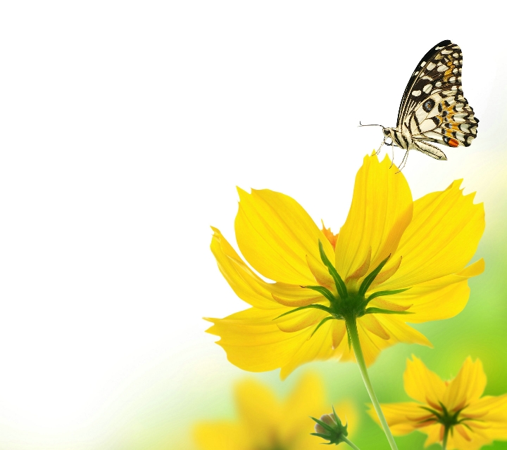 我爱你是个完整句子吗,我爱你三个字倒过来说