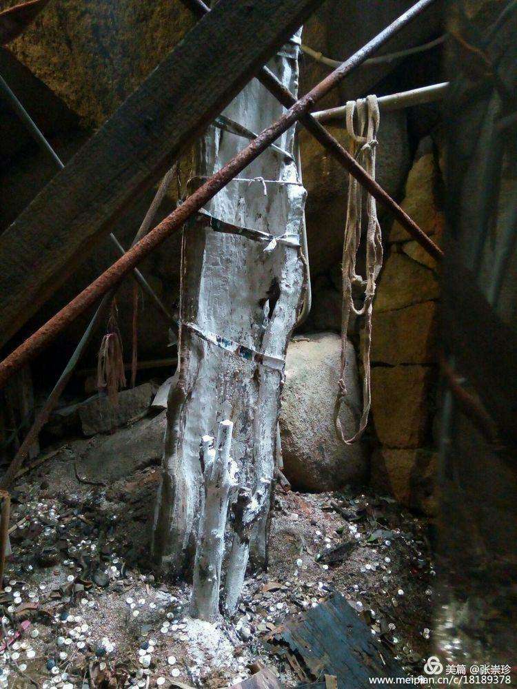 摩天石下再续罗山缘--6.16大罗山印记