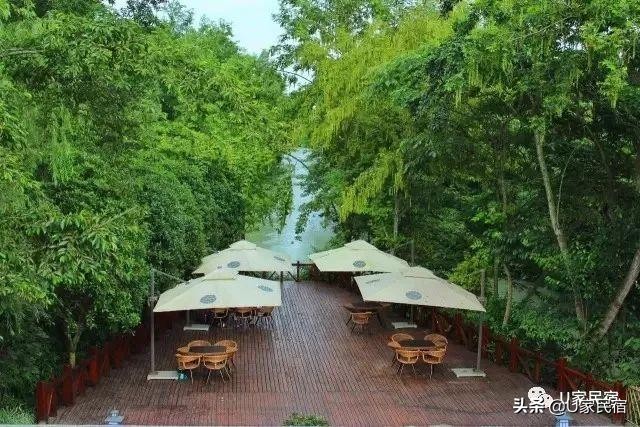 成都首家野奢帐篷酒店，高颜值避世野宿，帐篷听雨树屋观星