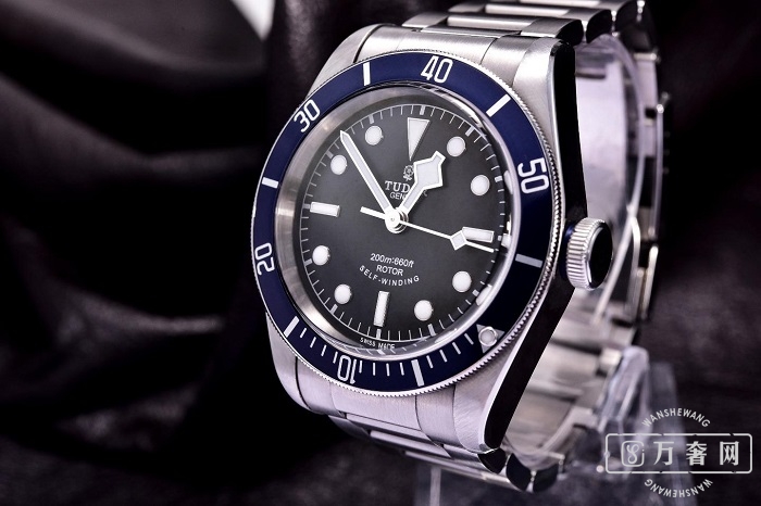 帝舵碧湾系列1958棕色表带,帝舵碧湾系列黑陶瓷钢带