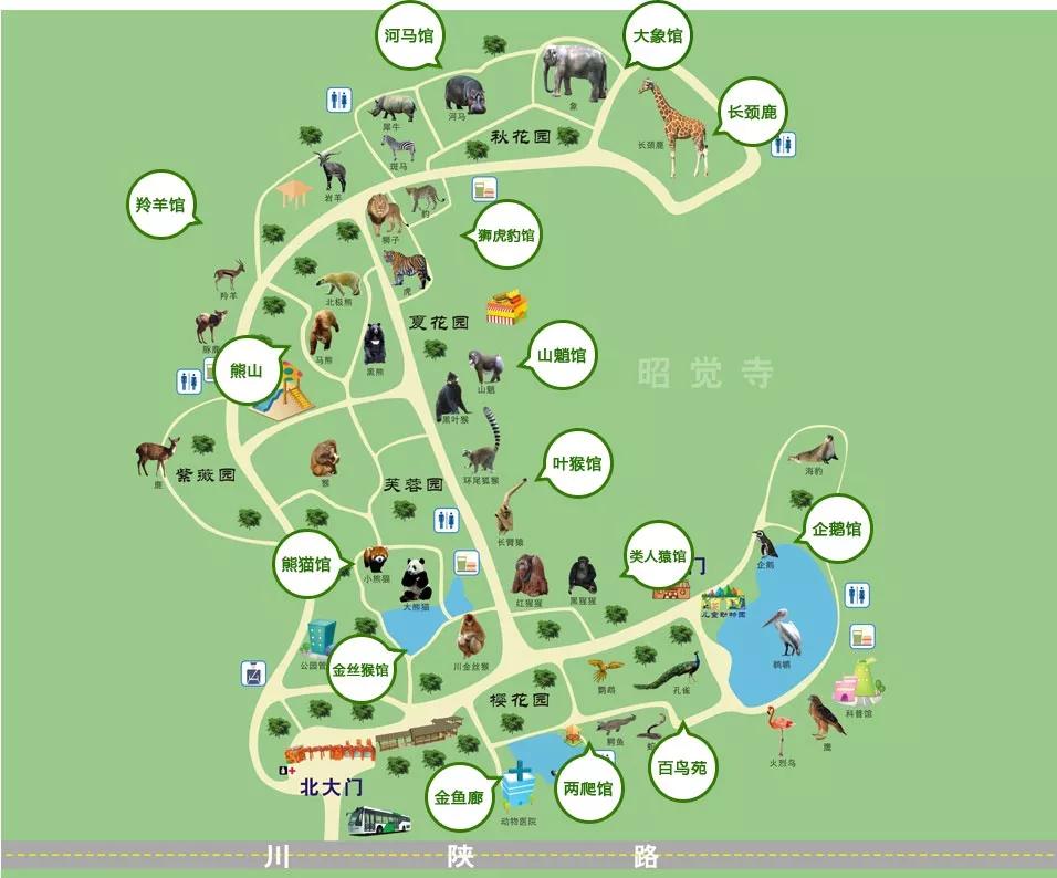 1h刹拢！想看大熊猫就去这3个地方，人少像包场，散养小熊猫